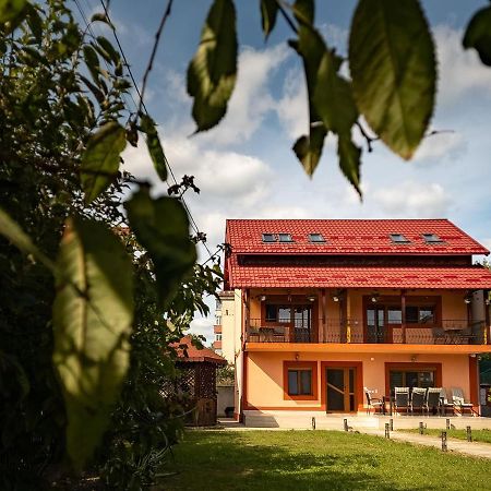 Pensiunea Eric Куртя-де-Арджеш Экстерьер фото